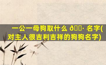 一公一母狗取什么 🕷 名字(对主人很吉利吉祥的狗狗名字)